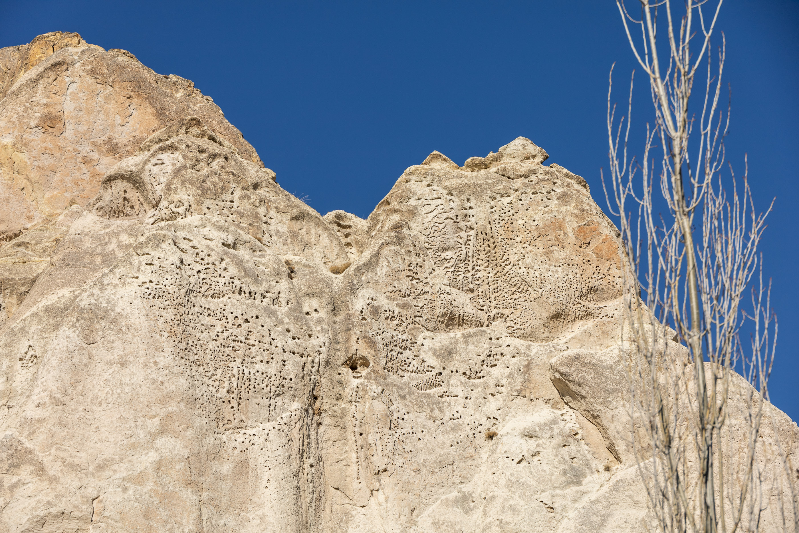 Голубятни в Белой Долине