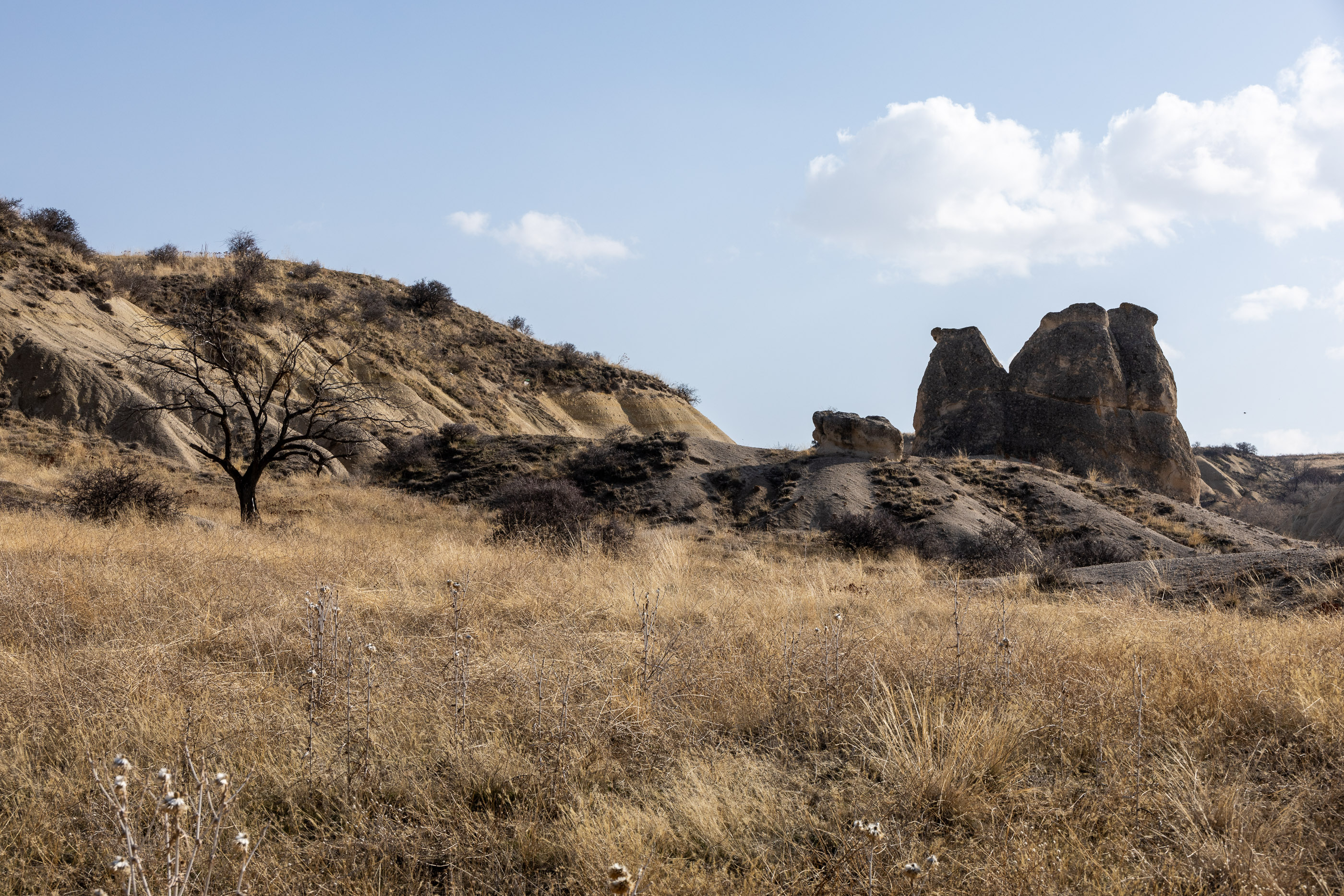 Долина Любви