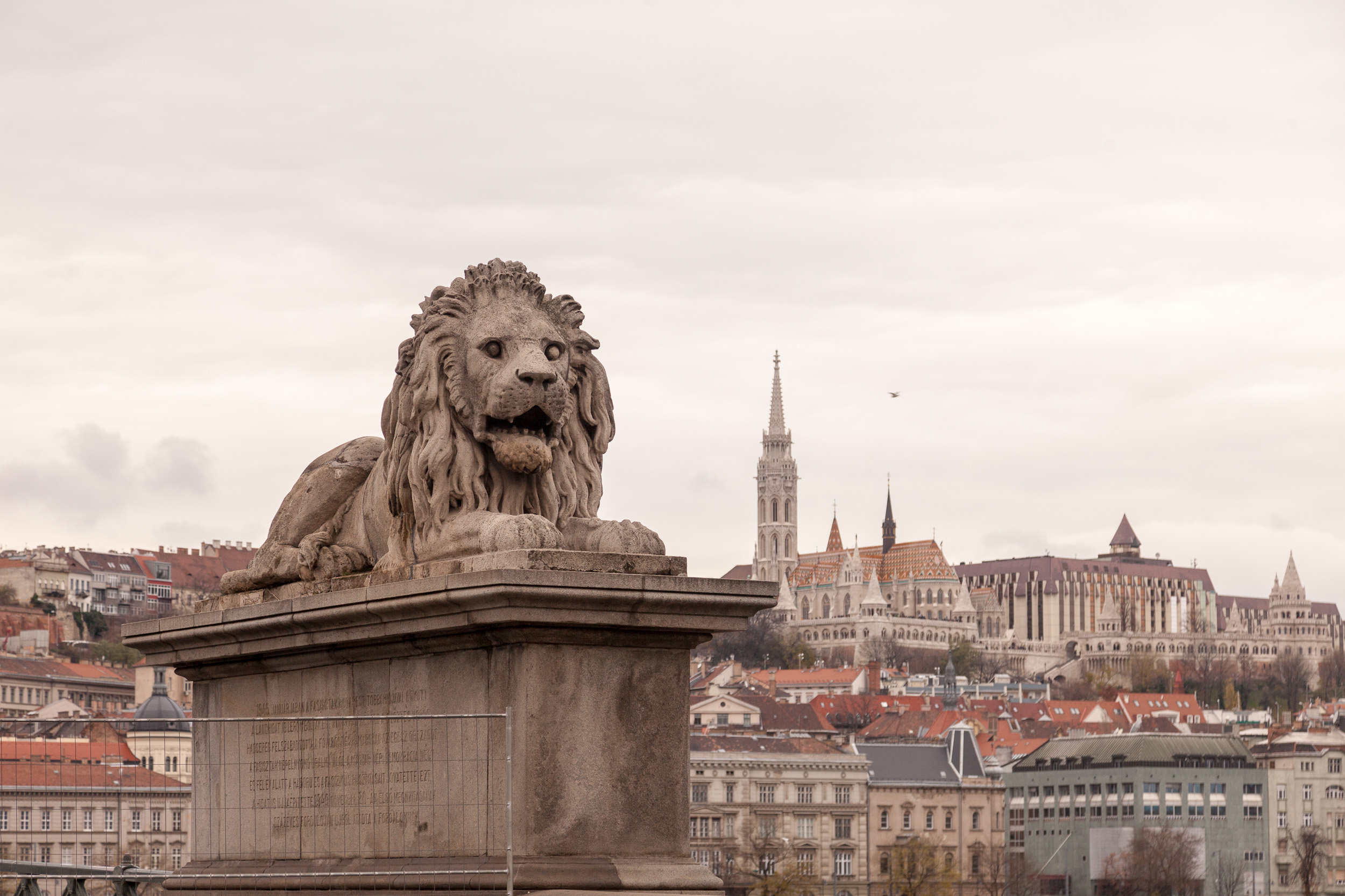 Лев Цепного Моста