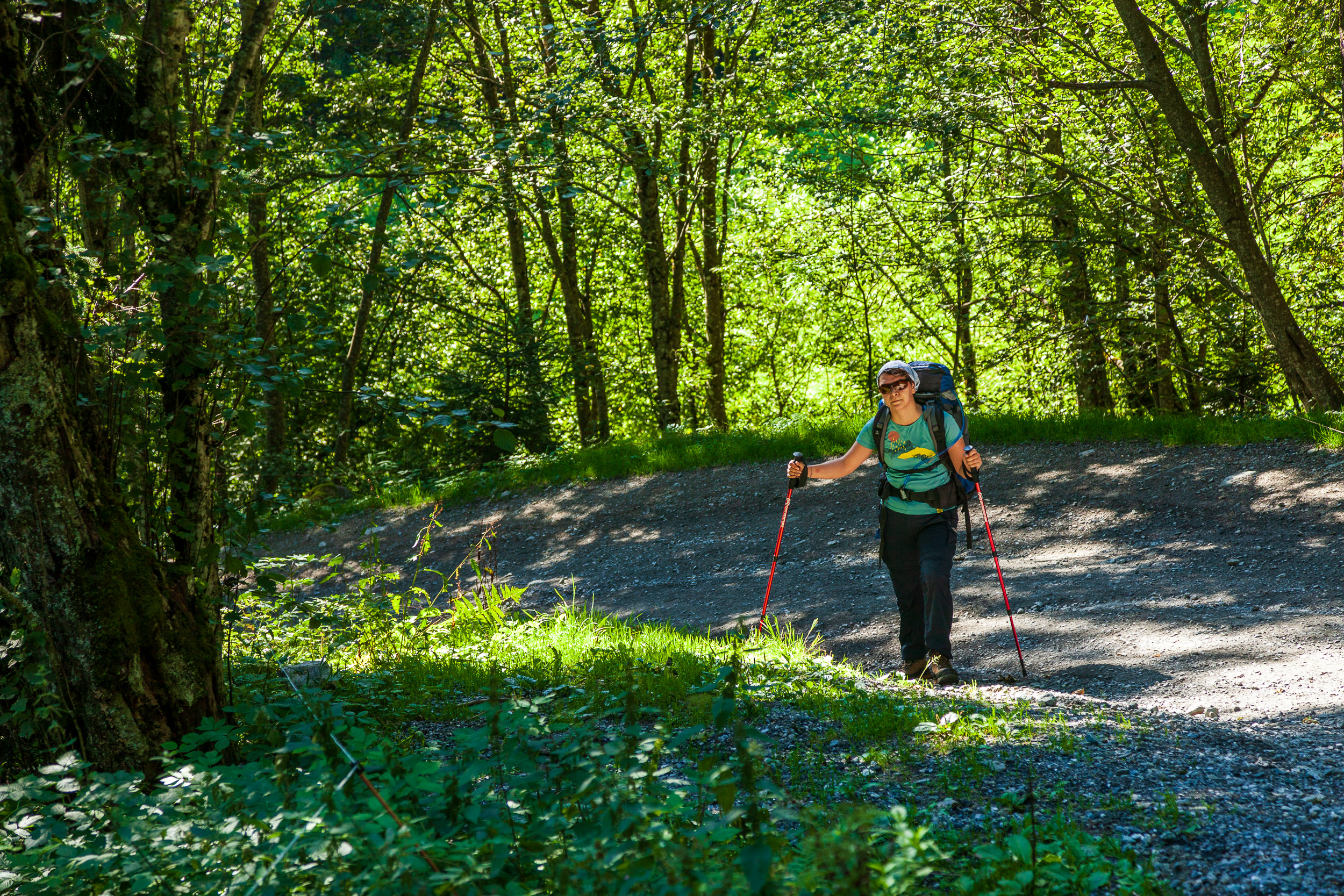 В лесу на склона
