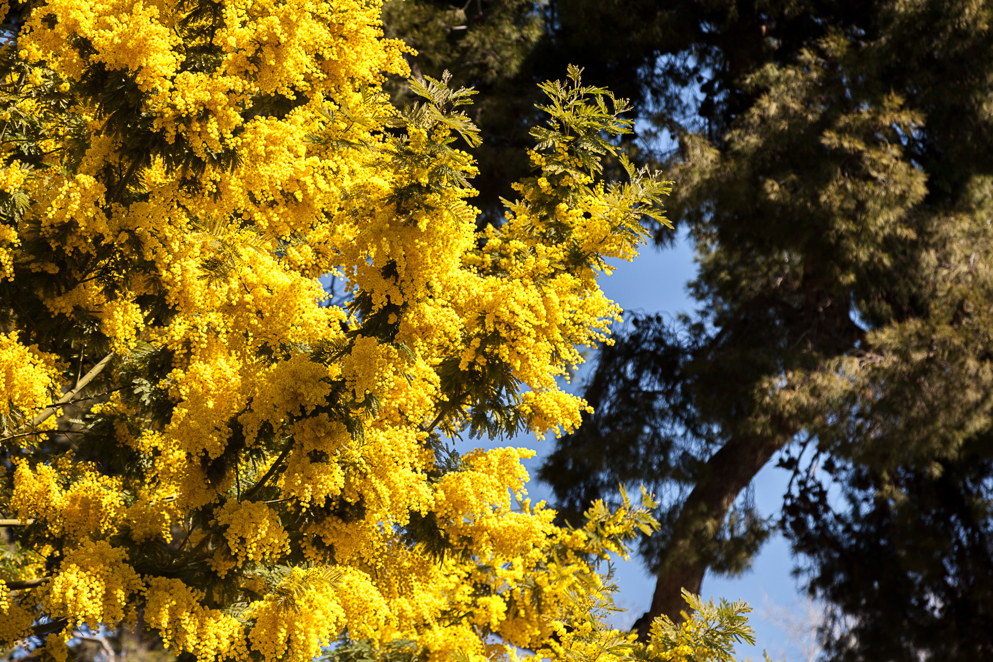 Февраль здорового человека