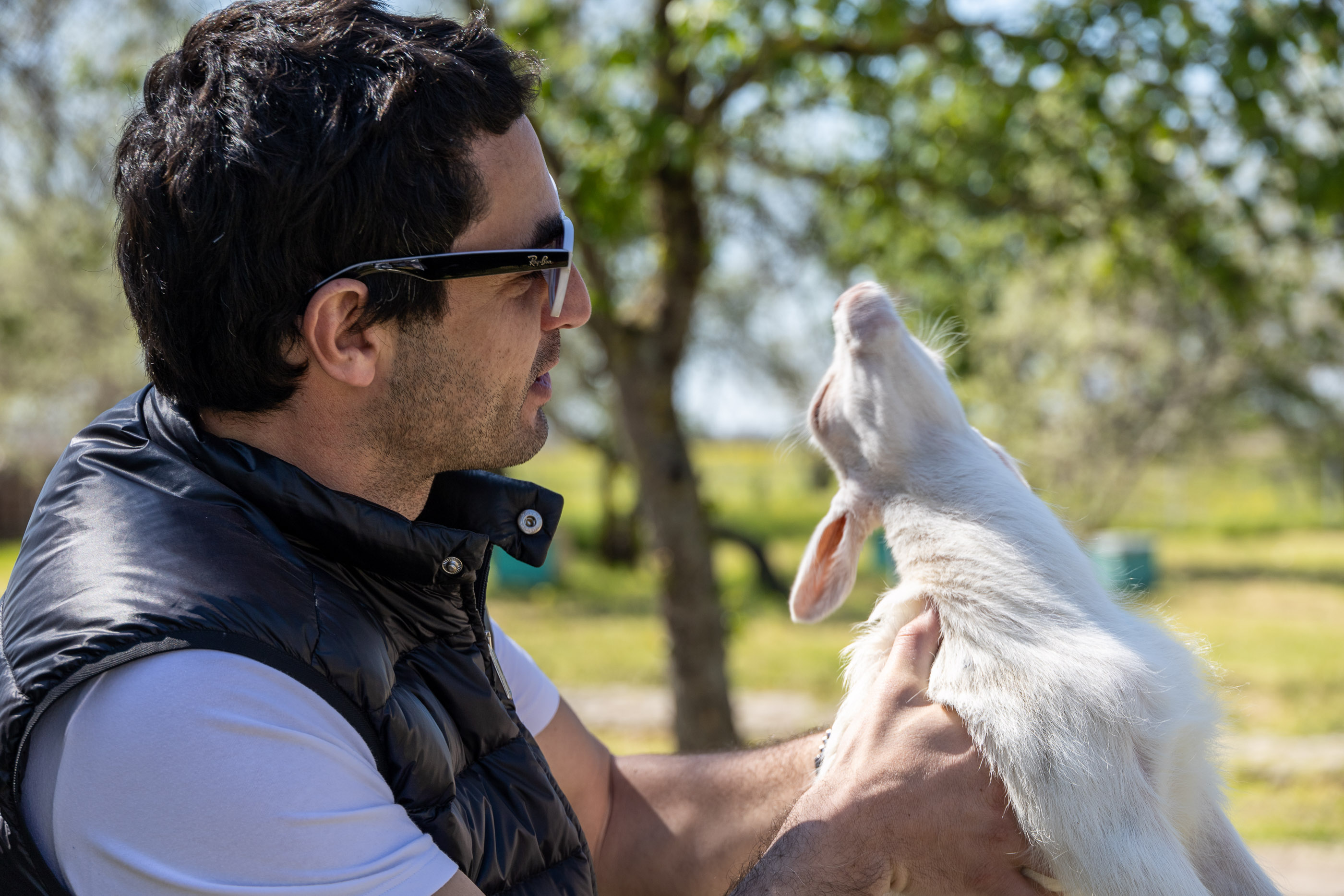 Кормление козлят