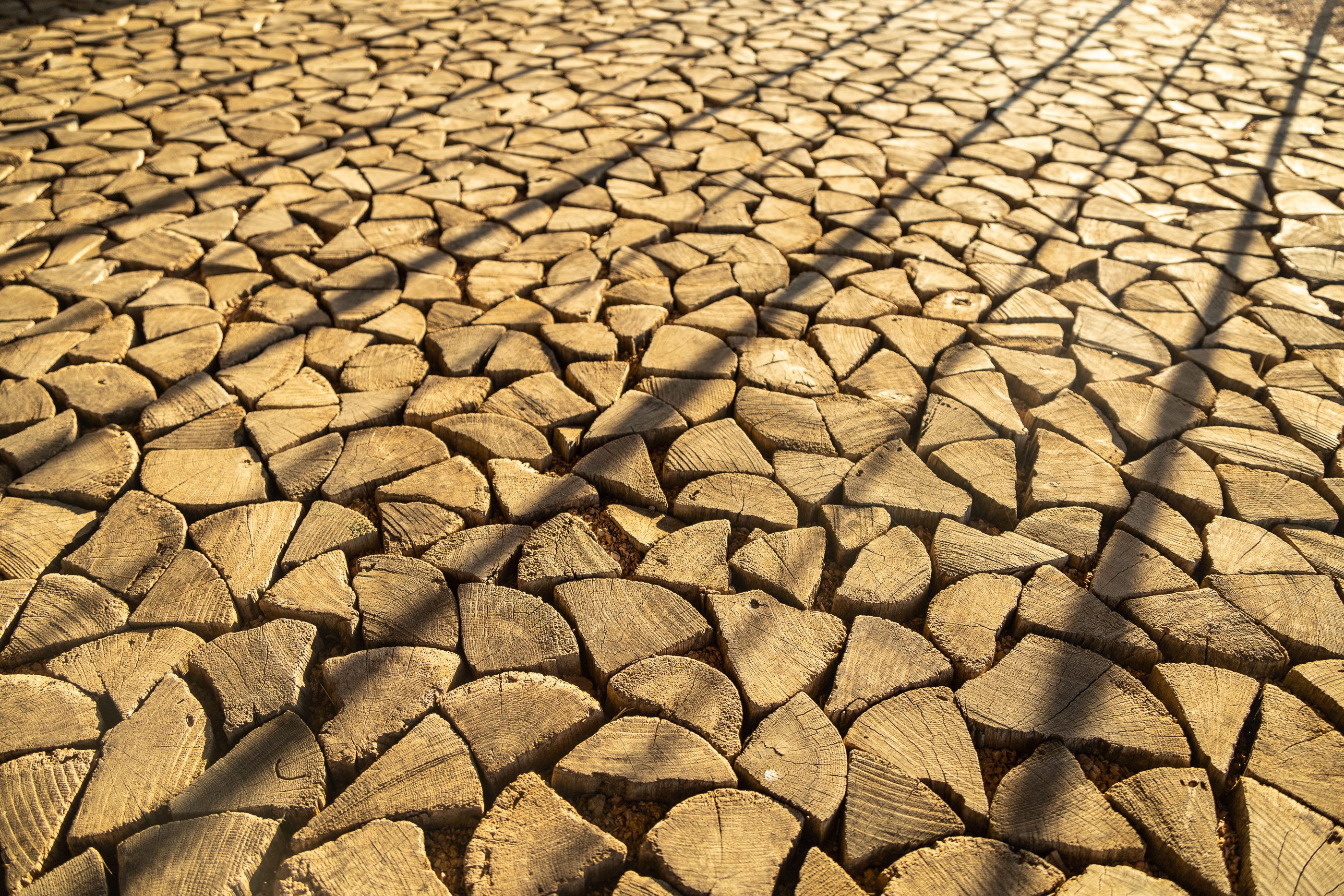 Усадьба Голубицкого