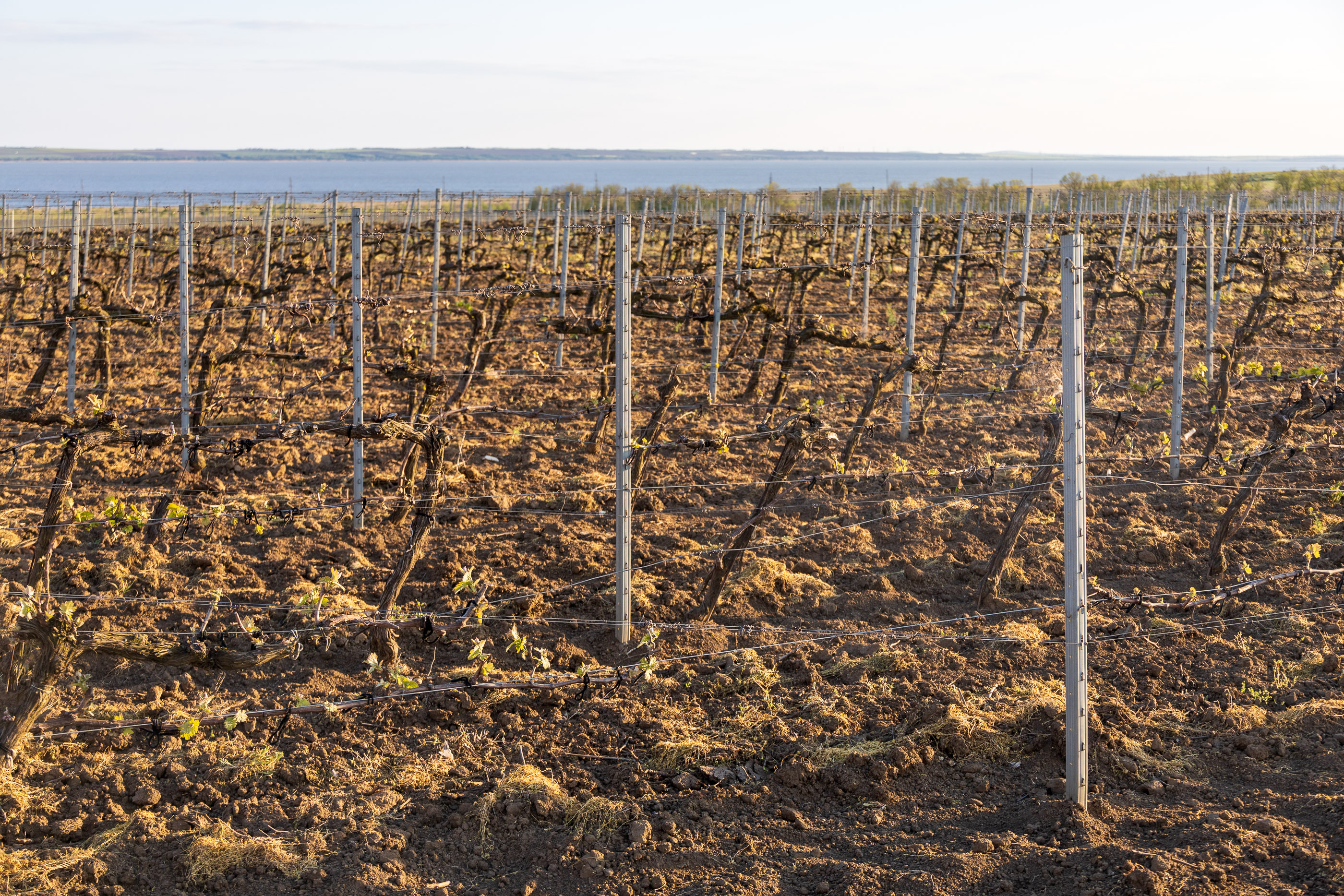 Усадьба Голубицкого