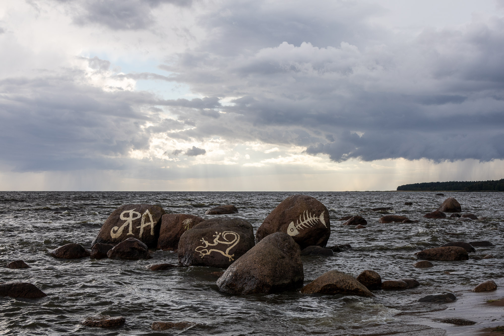 Финский залив
