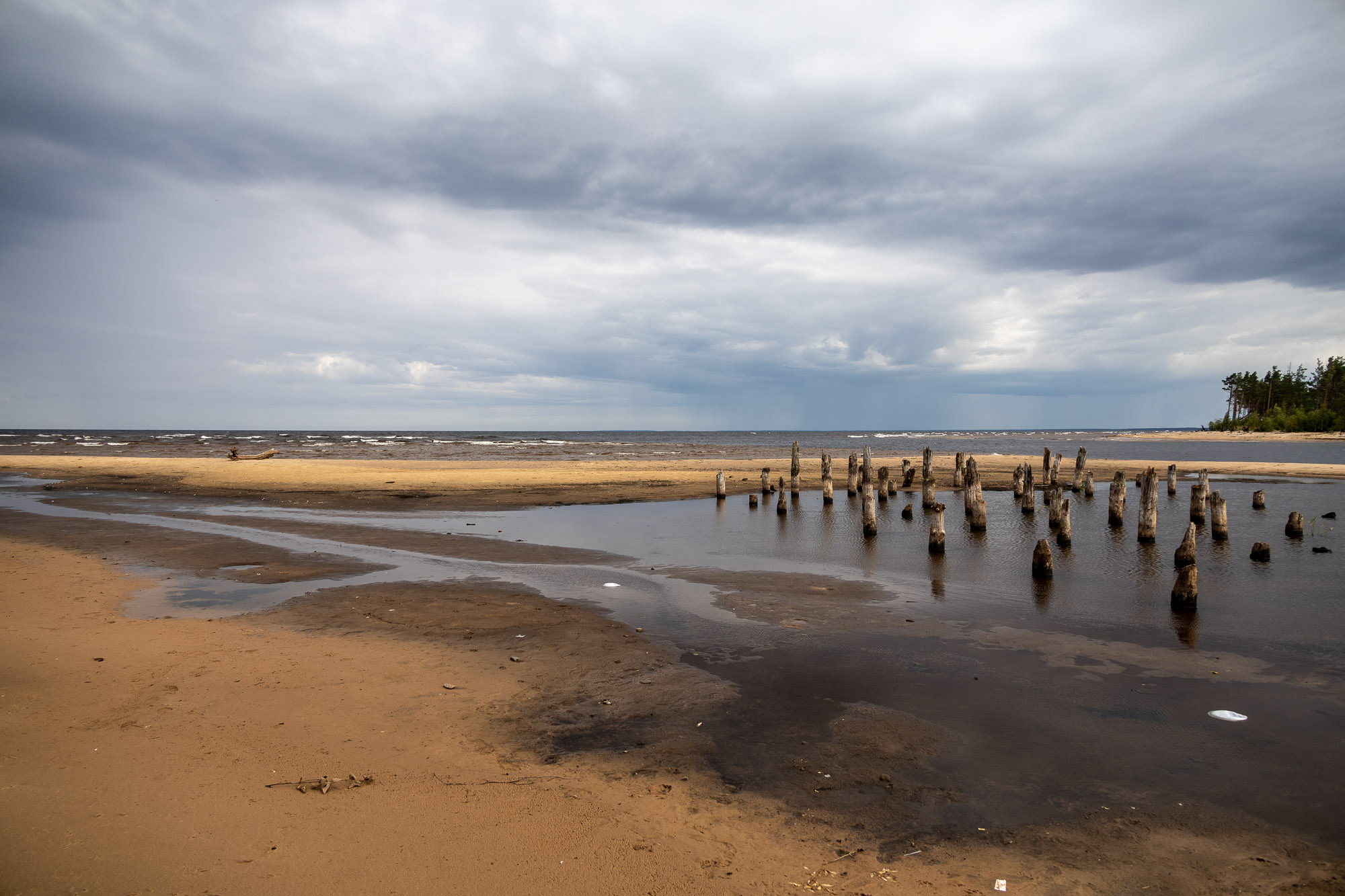 Берег Онеги