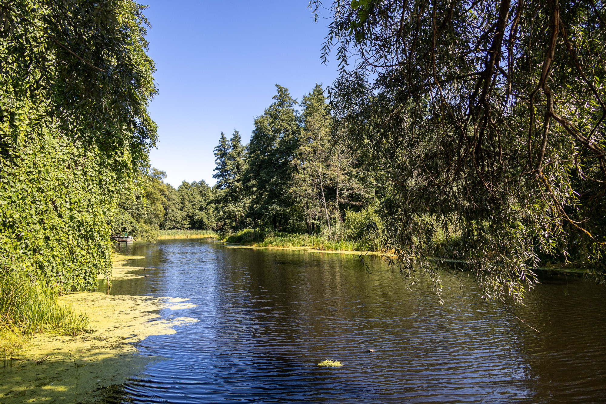 В Воронежском биосферном заповеднике