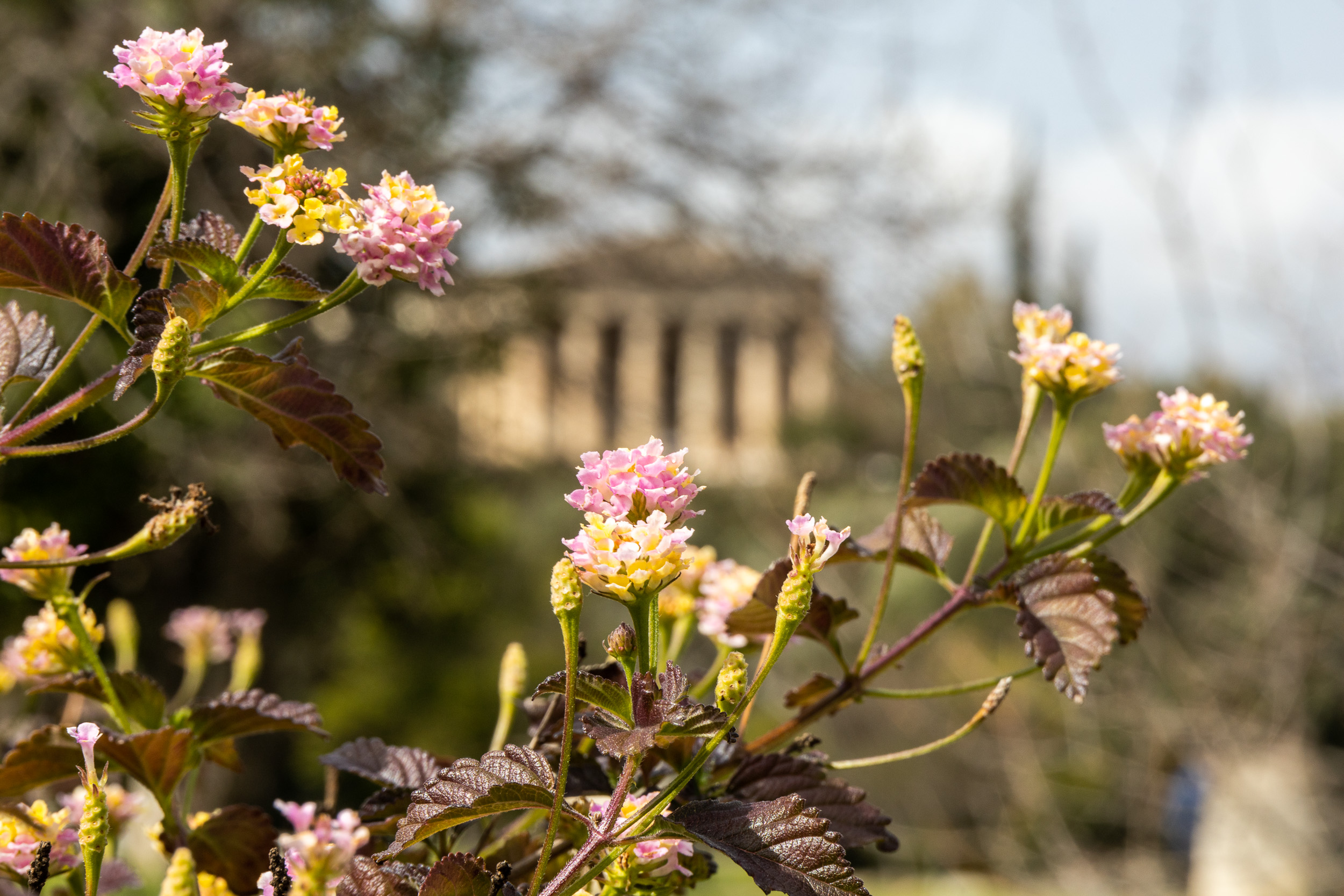 Март: Греция