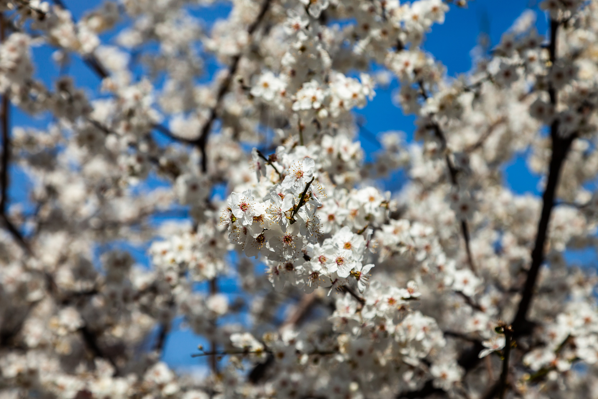 Март: Стамбул и Асташово