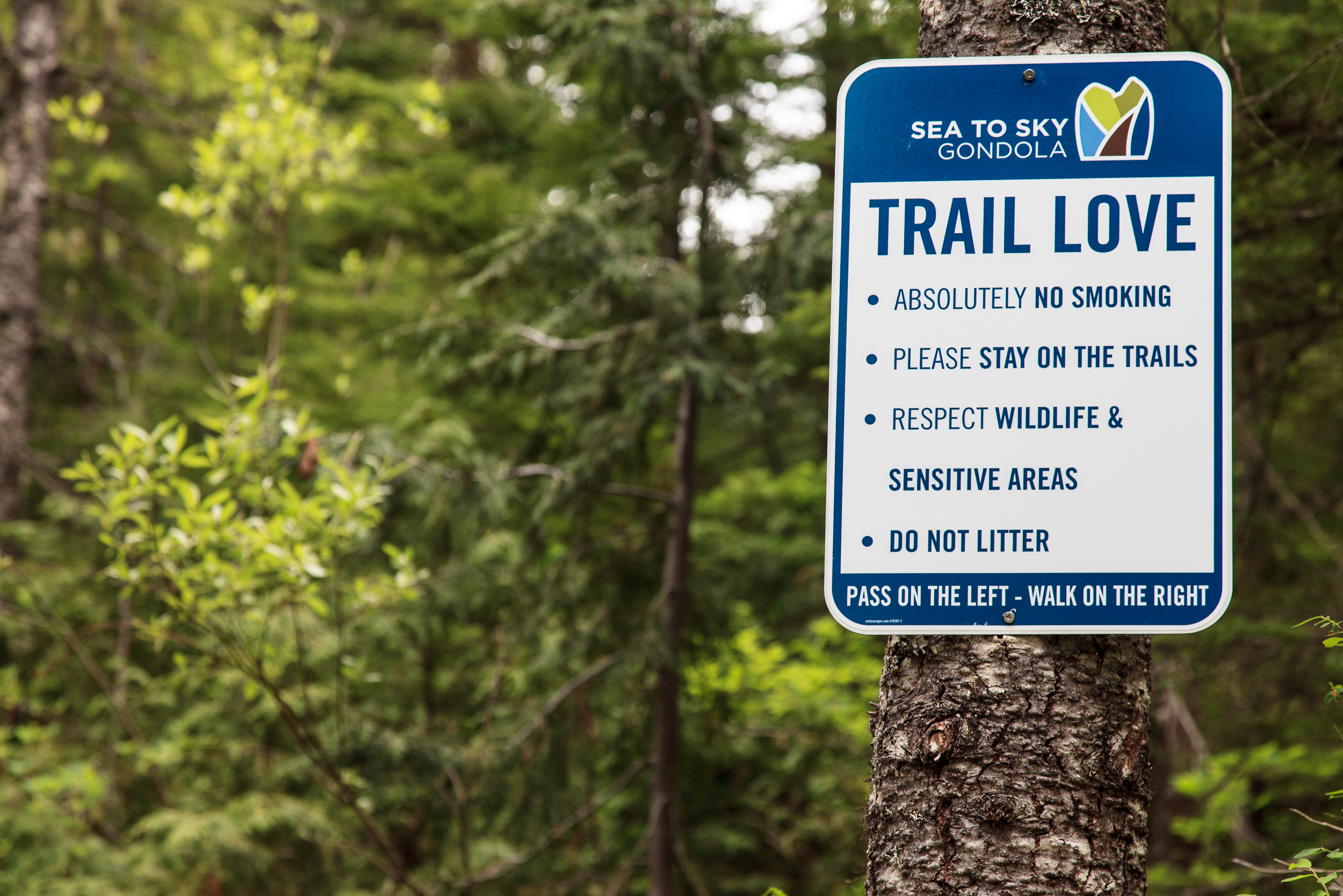 Один из многочисленных местных мар