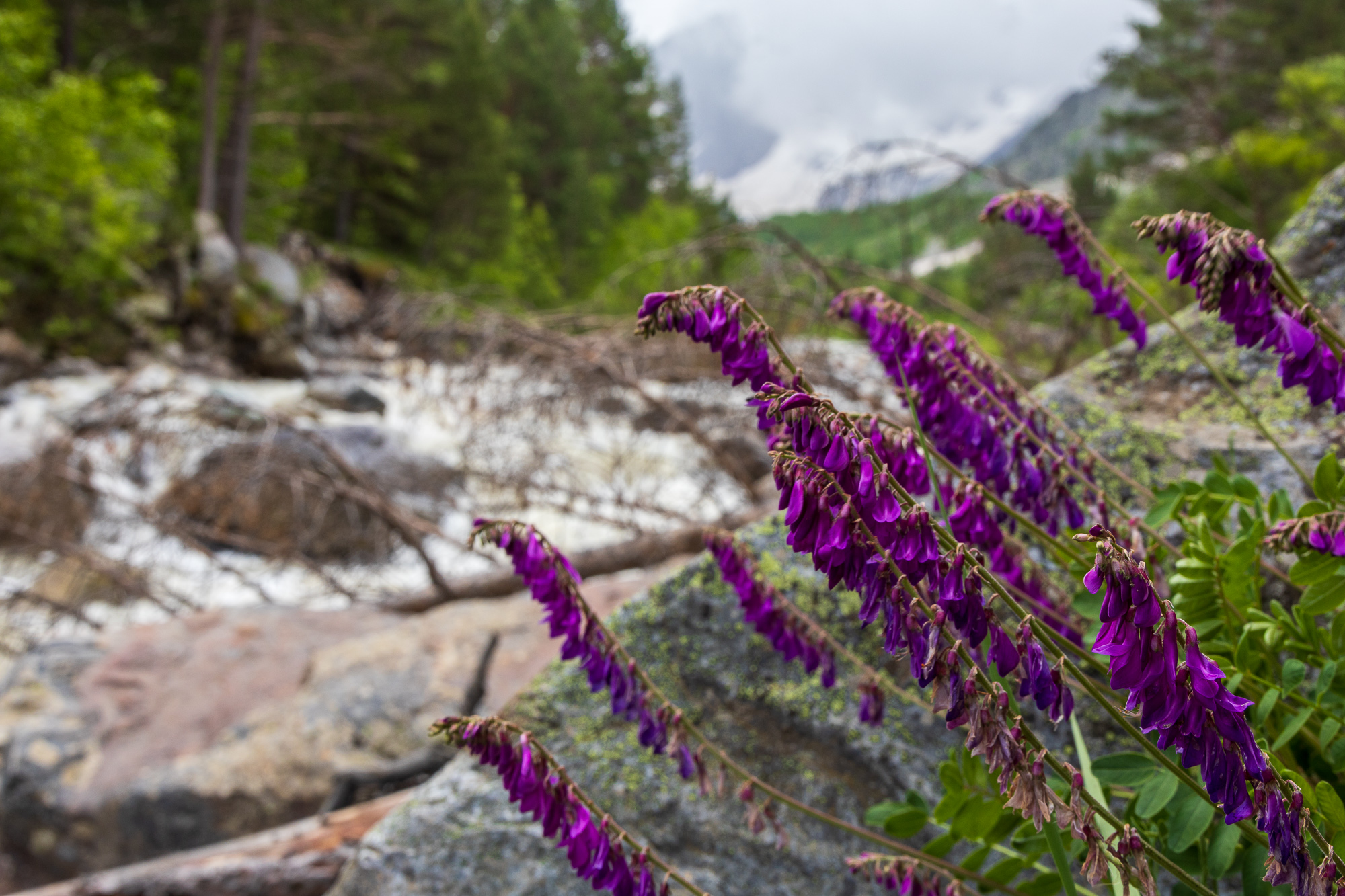 Чегемское ущелье