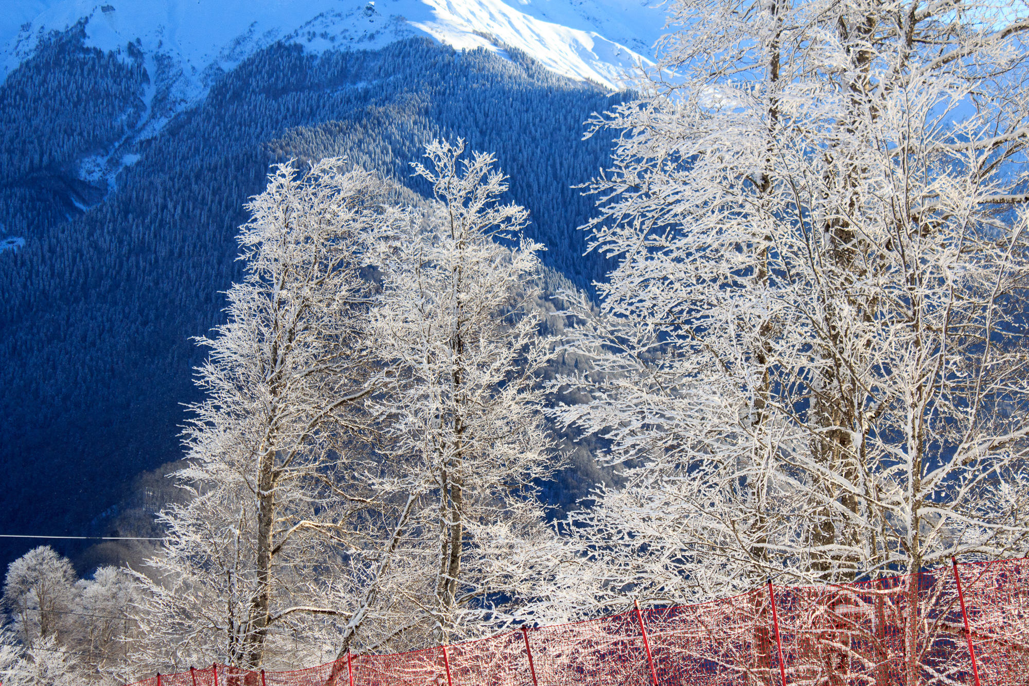 Зима в Поляне