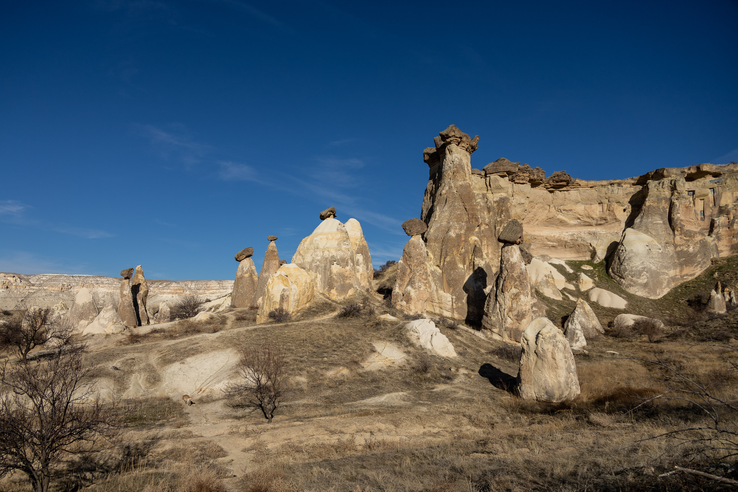 Каменные столбы на окраине Чавушина