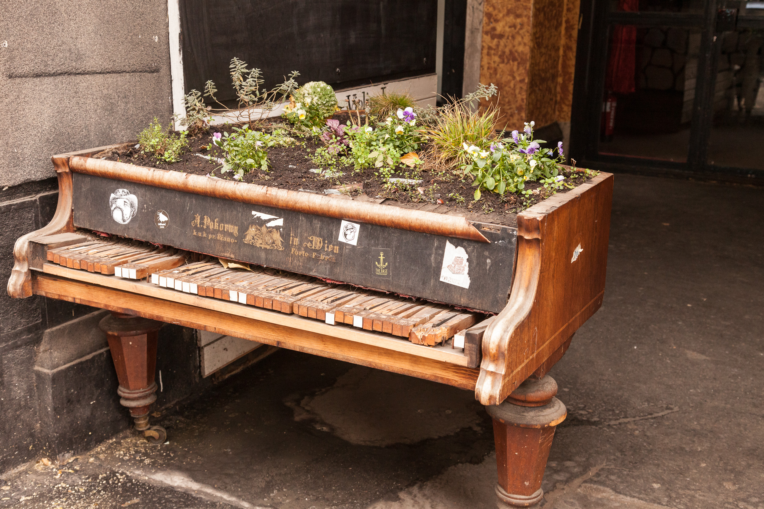 Рояль-клумба