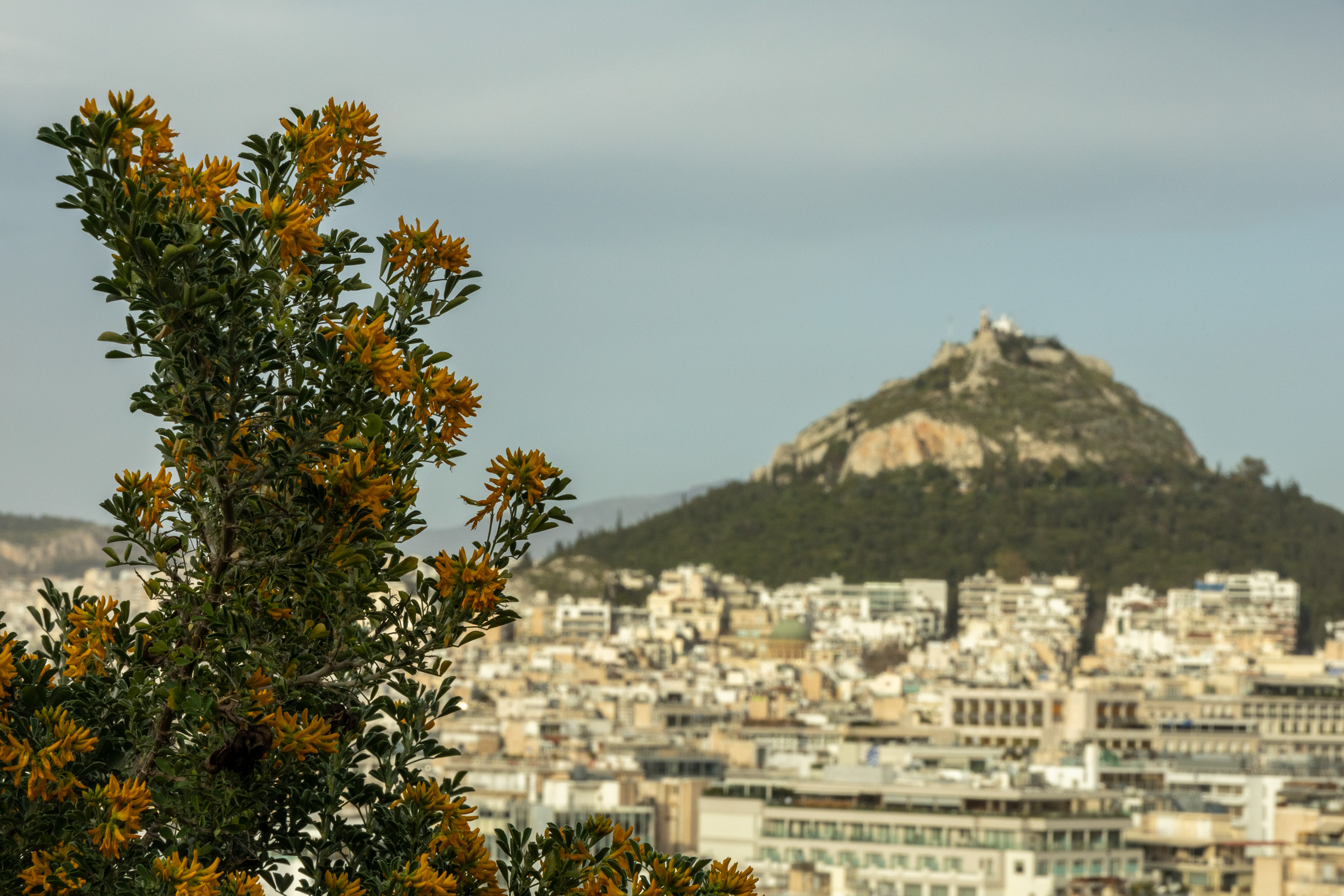 Вид на холм Ликавитос