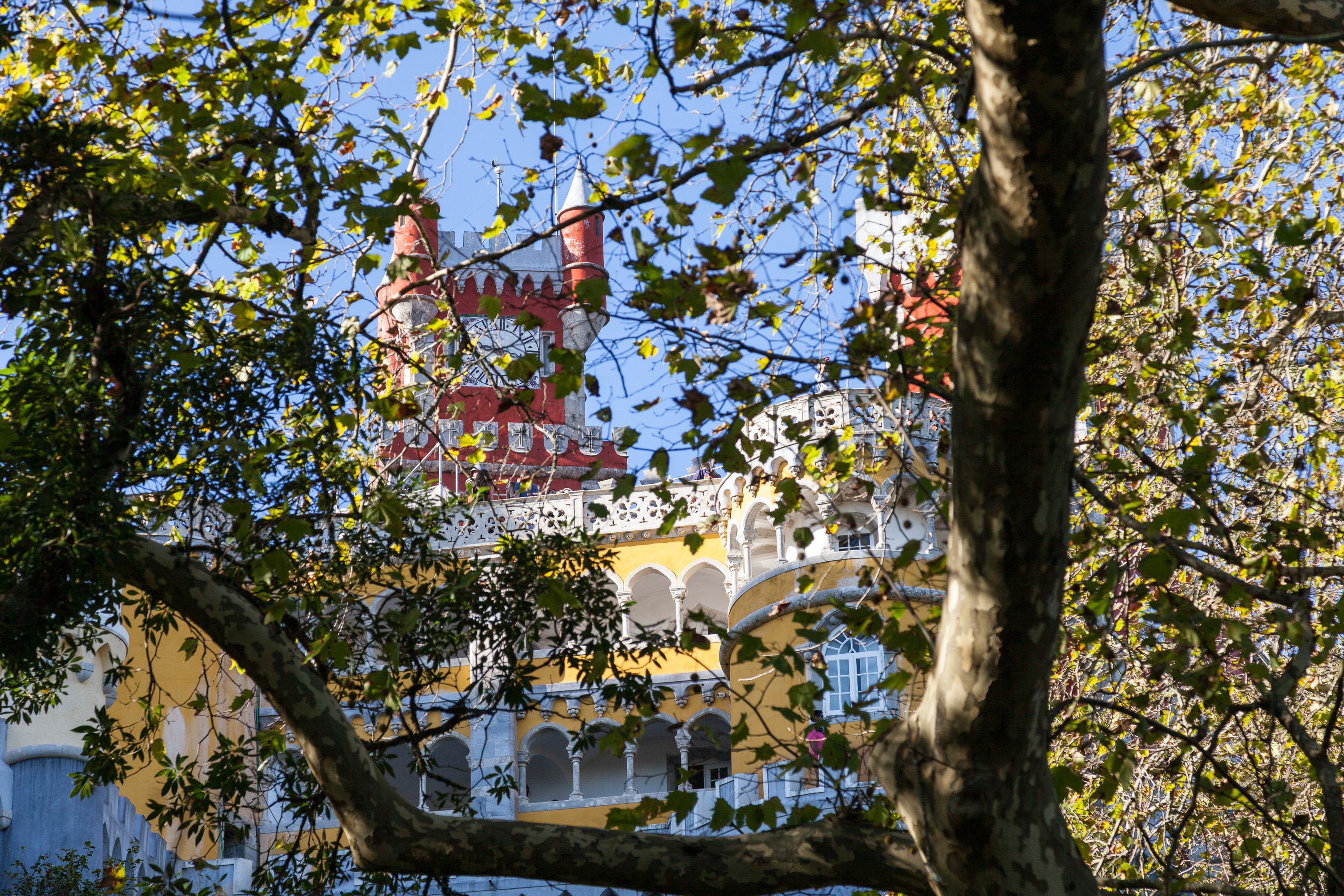 Дворец Пена