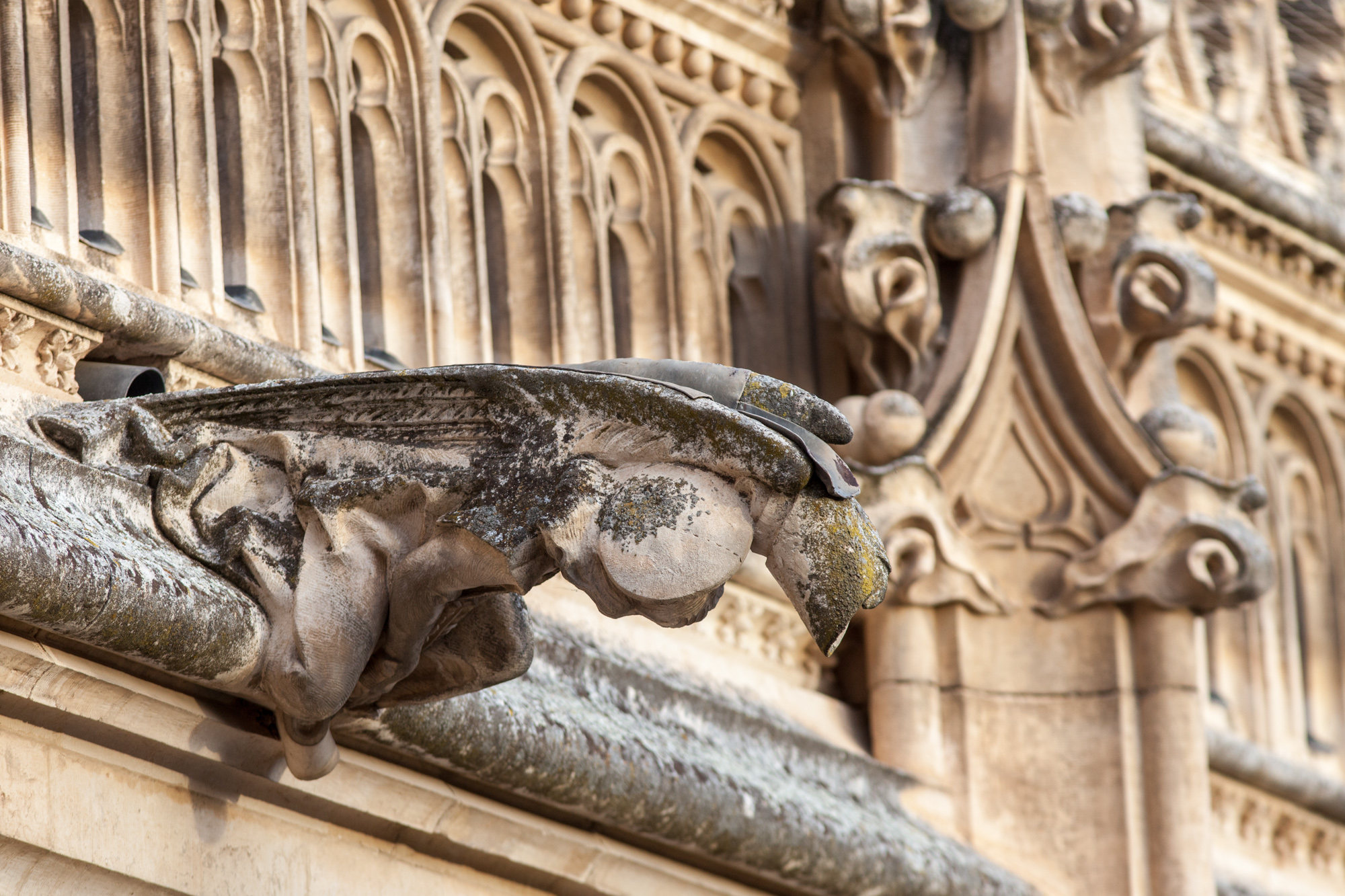 В монастыре Сан Хуан де лос Рейес