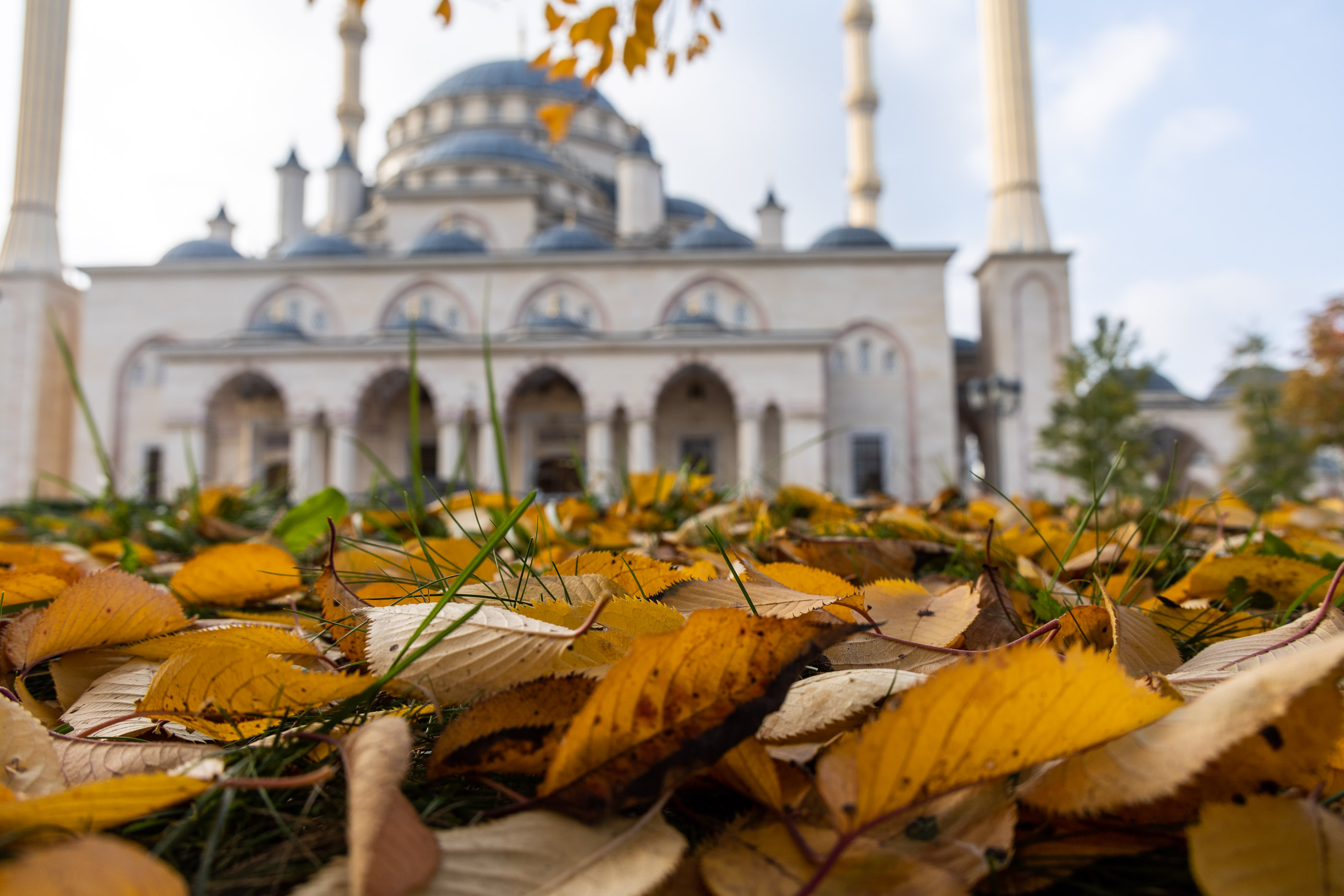 Мечеть «Сердце Чечни»