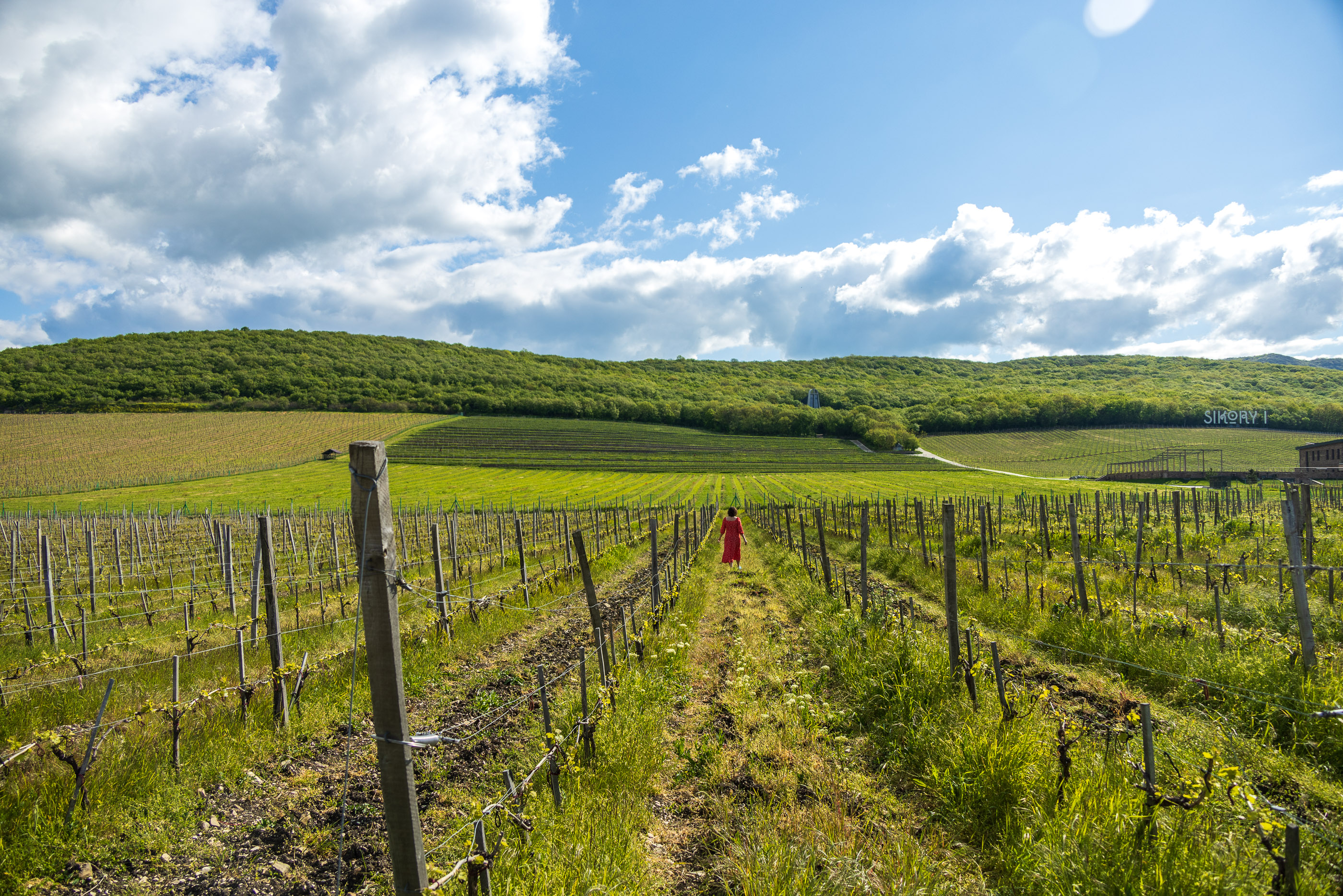 Винодельни кавказа