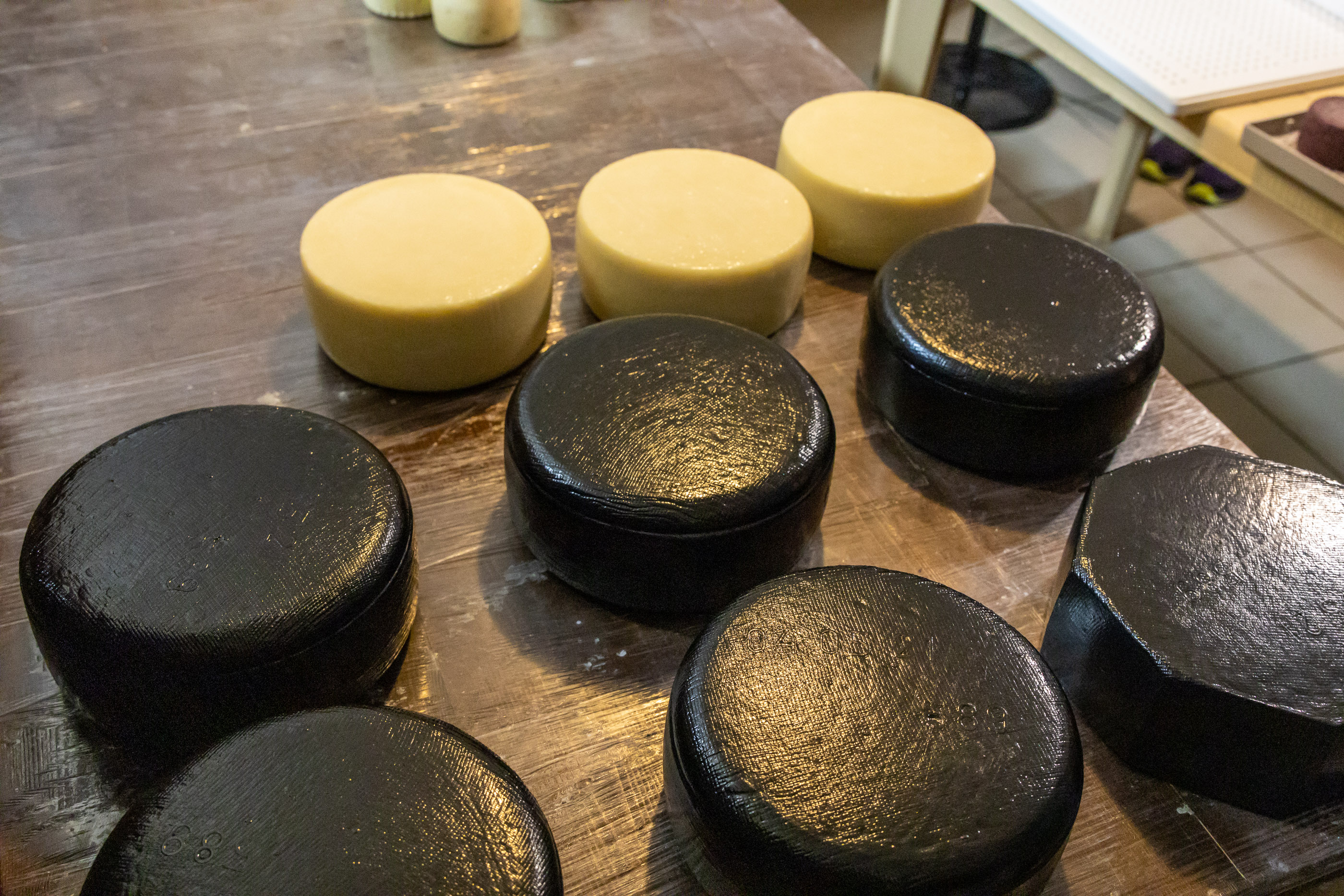 Сырное производство Коза-Хутора